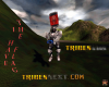 i have the flag 1280 x1024.jpg